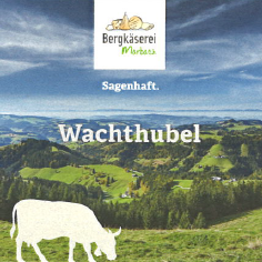 Wachthubelkäse