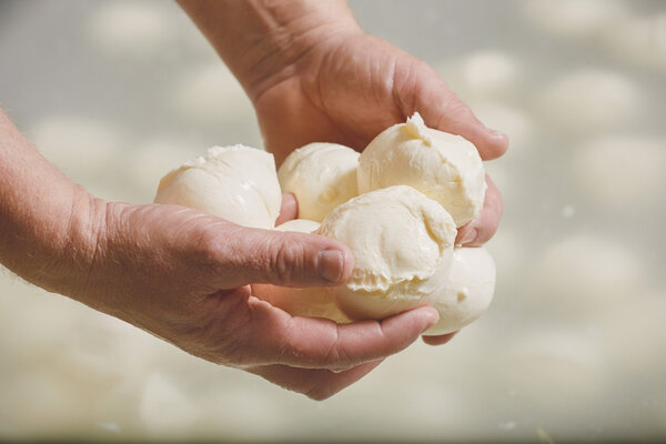Galerie Mozzarella