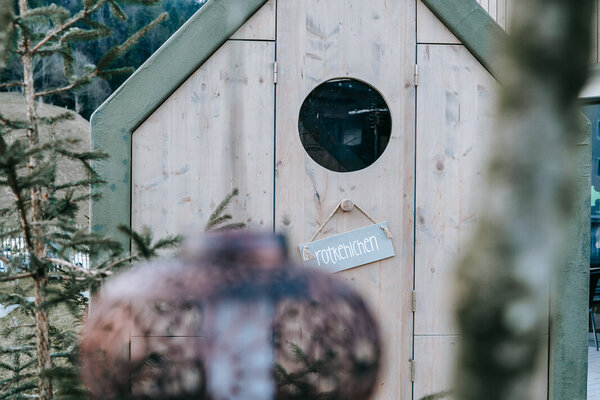 Gaumenschmaus im Vogelhaus