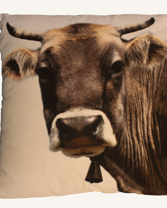 Cow cushion